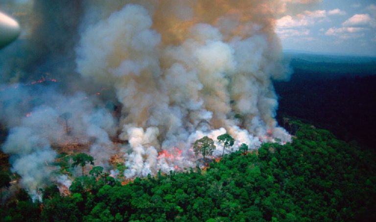 amazzonia in fiamme ossigeno