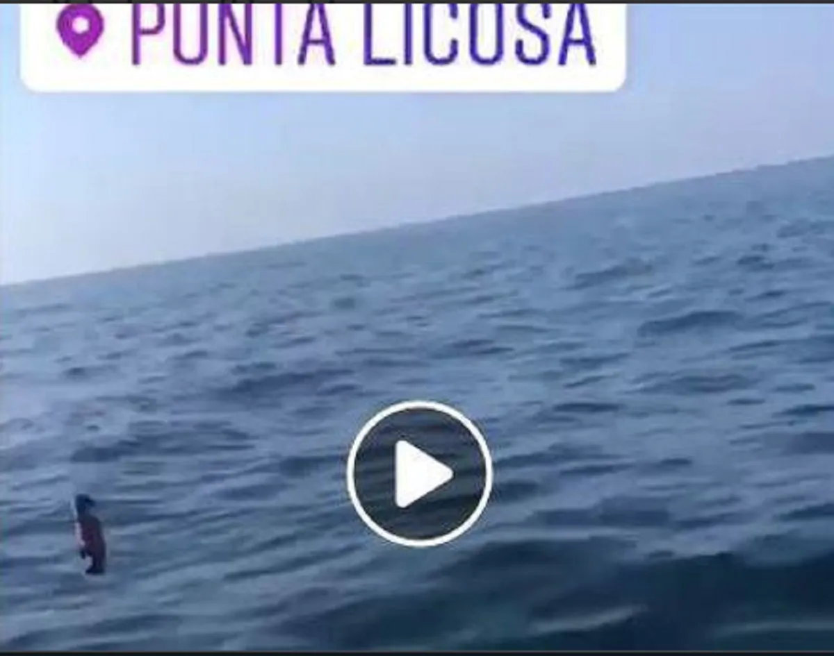 bottiglia di plastica in mare