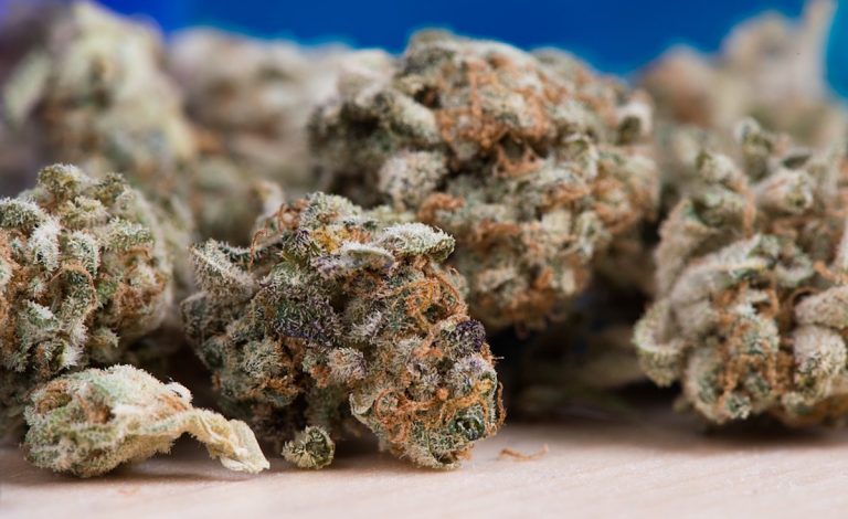 cannabis lussemburgo