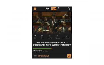 contesalvinipornhub 360x225