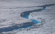 ghiacciai Groenlandia