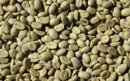 Caffè verde per dimagrire: benefici e il miglior integratore