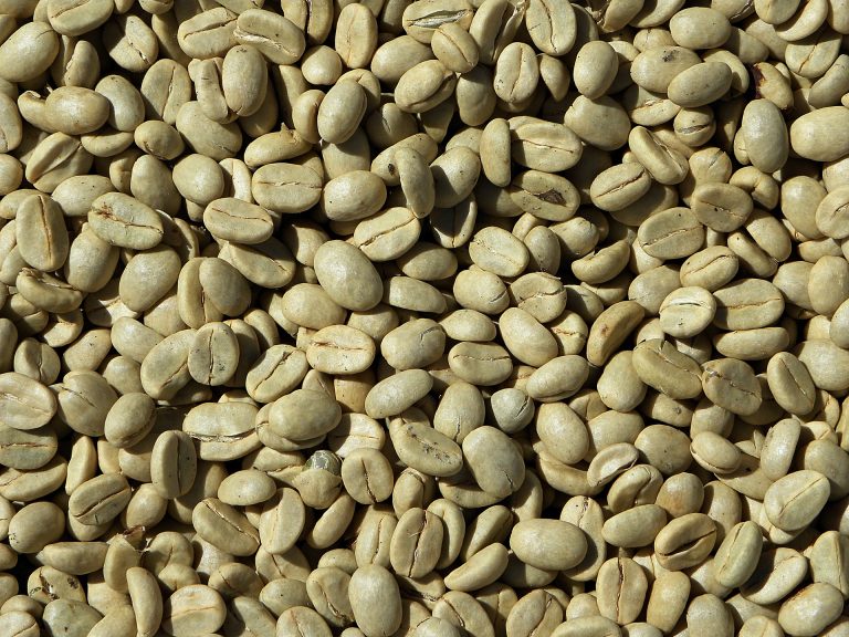 effetti collaterali dell estratto di caffè verde in grani per la perdita di peso effetti collaterali dell estratto di caffè verde in grani per la perdita di peso