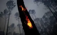 incendi amazzonia