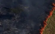 Amazzonia in fiamme