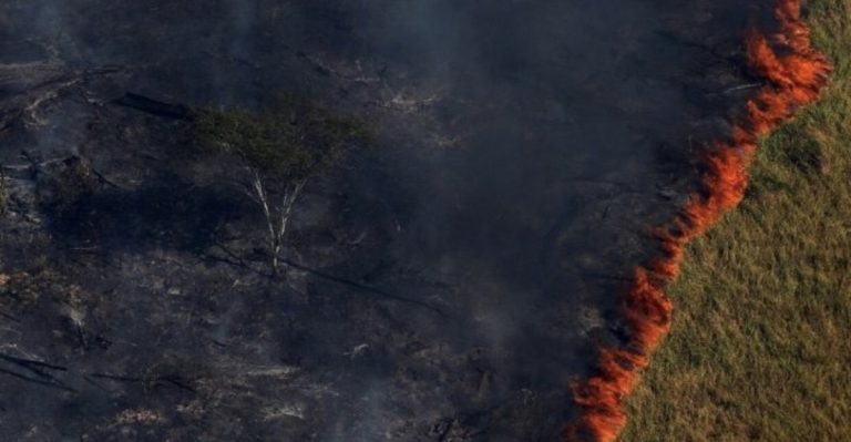 Amazzonia in fiamme