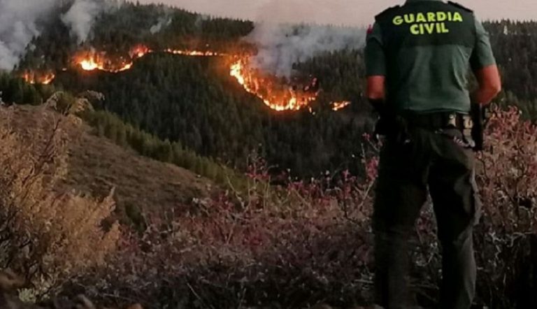 Risultati immagini per gran canaria incendio