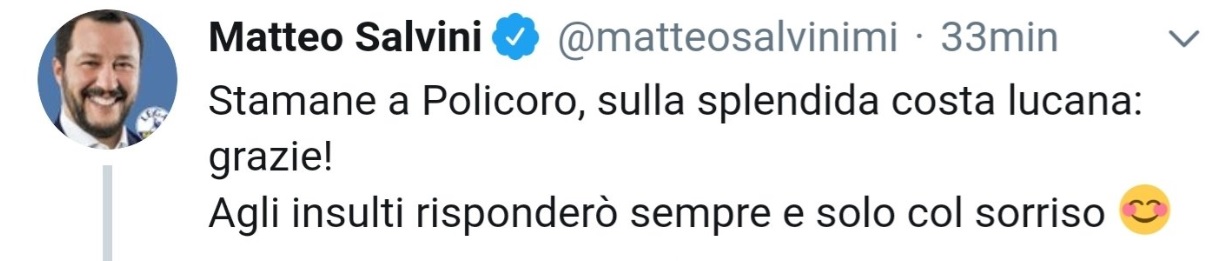 matteo salvini insulti