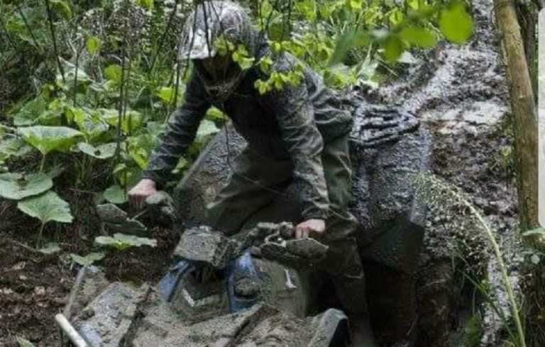 quad morto mirco cocco