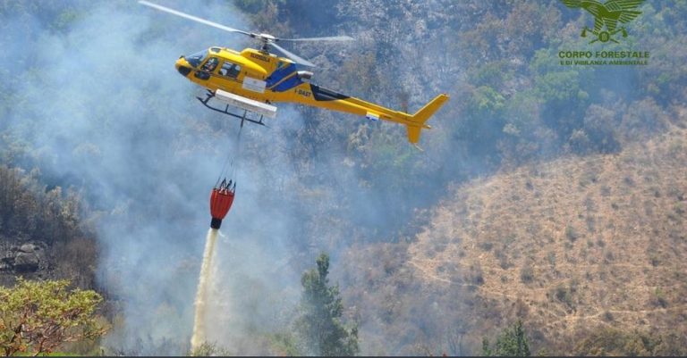 incendi in sardegna
