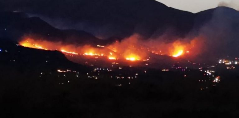 notte di incendi a palermo
