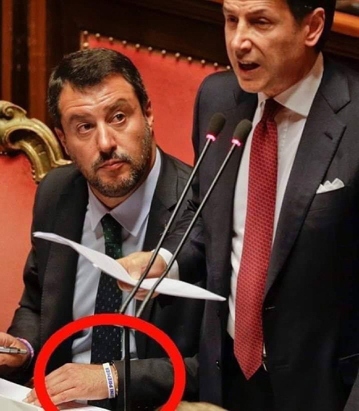 salvini-premier
