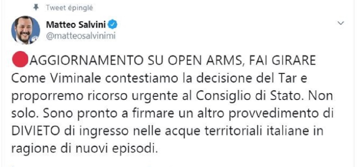 salvini twitter