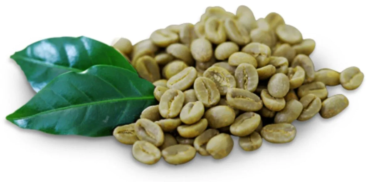 Caffè verde: proprietà e controindicazioni