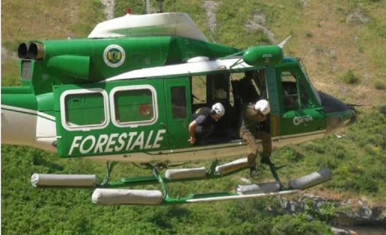 forestale