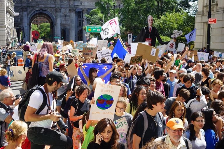 fridays for future 768x512