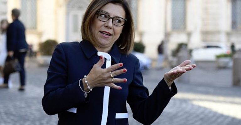 paola de micheli