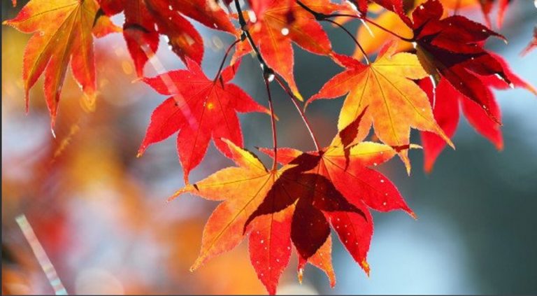 previsioni meteo ottobre