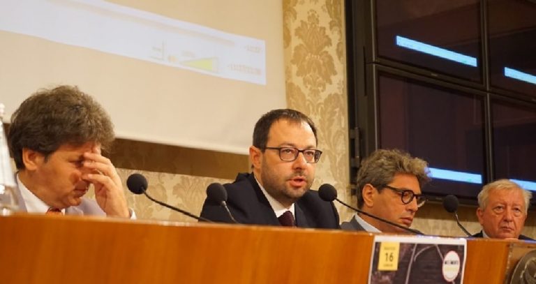 Stefano Patuanelli voto Rousseau