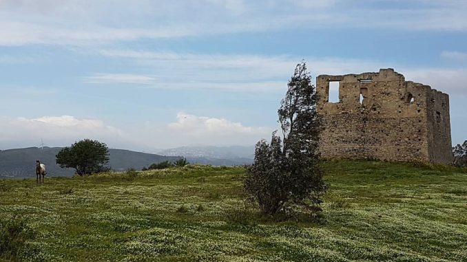 torre cavallara
