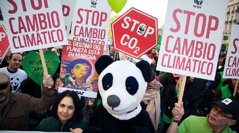 WWF storia