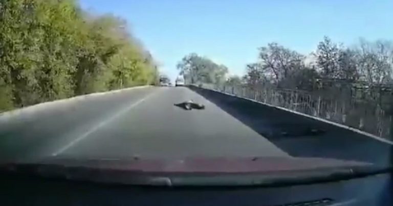 ambulanza perde paziente