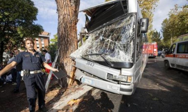 bus contro albero