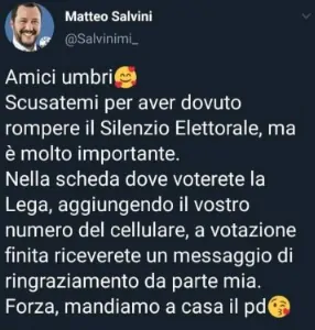 finto tweet Salvini