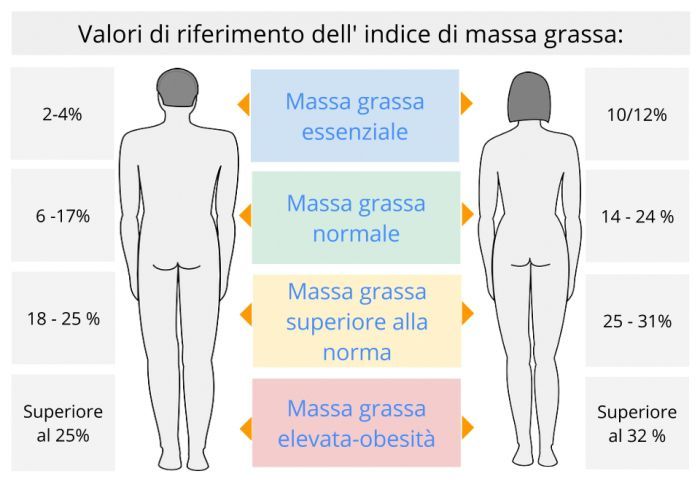 INDICE MASSA GRASSA.