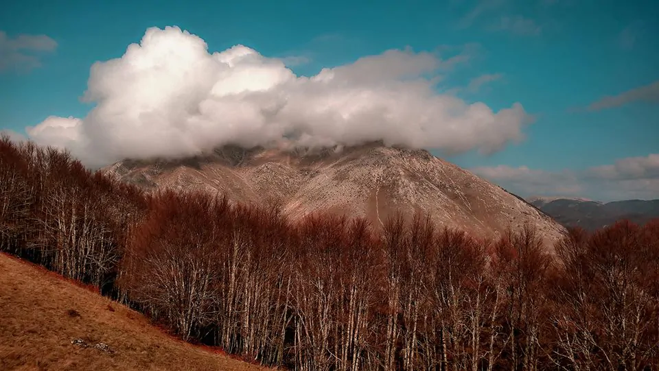 parco nazionale d'abruzzo