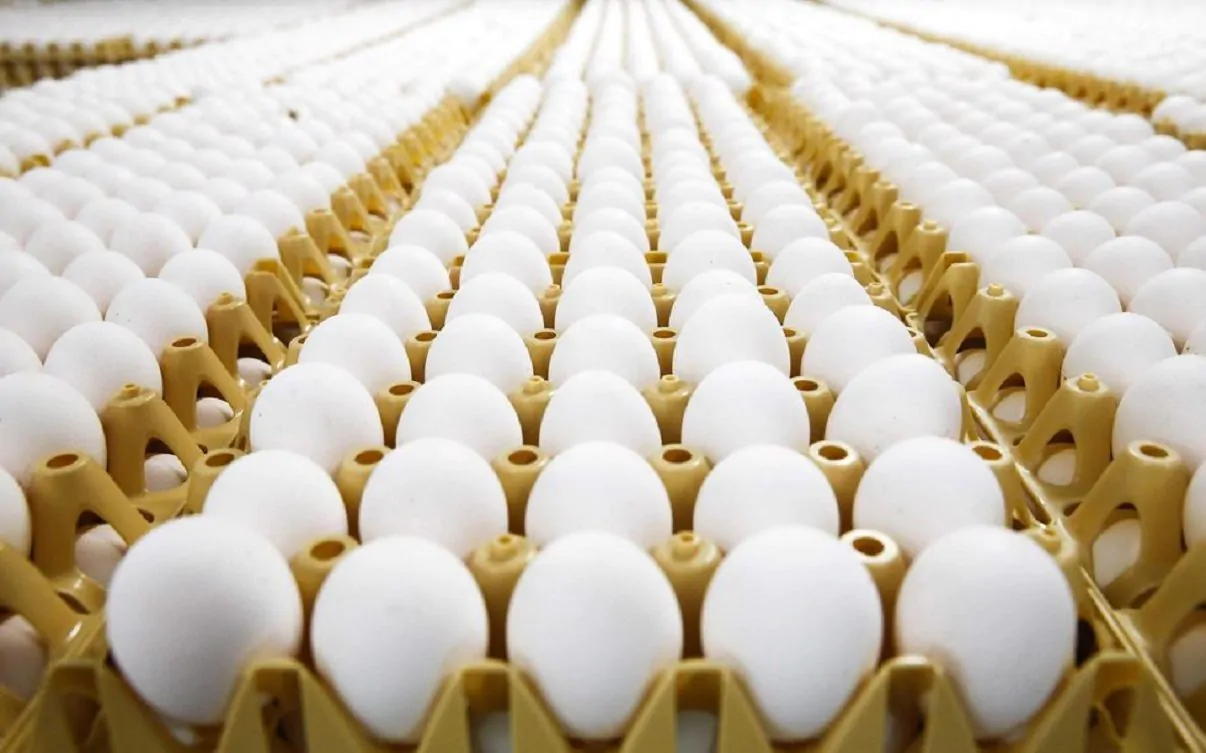 ritiro uova mercato