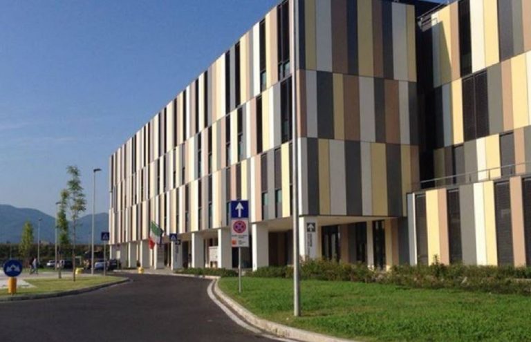 allerta meningite lucca