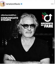 Briatore politica