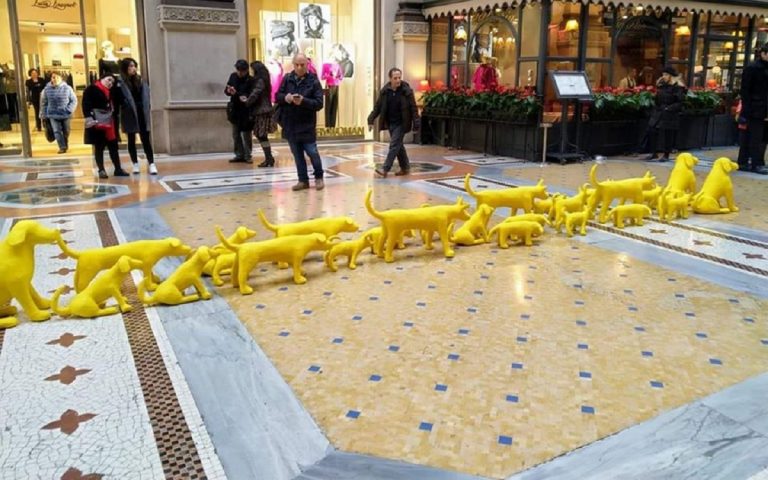 cani gialli galleria milano