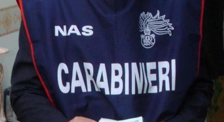cacca di topo su alimenti