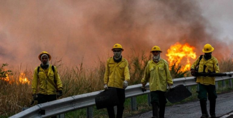 incendio in Brasile