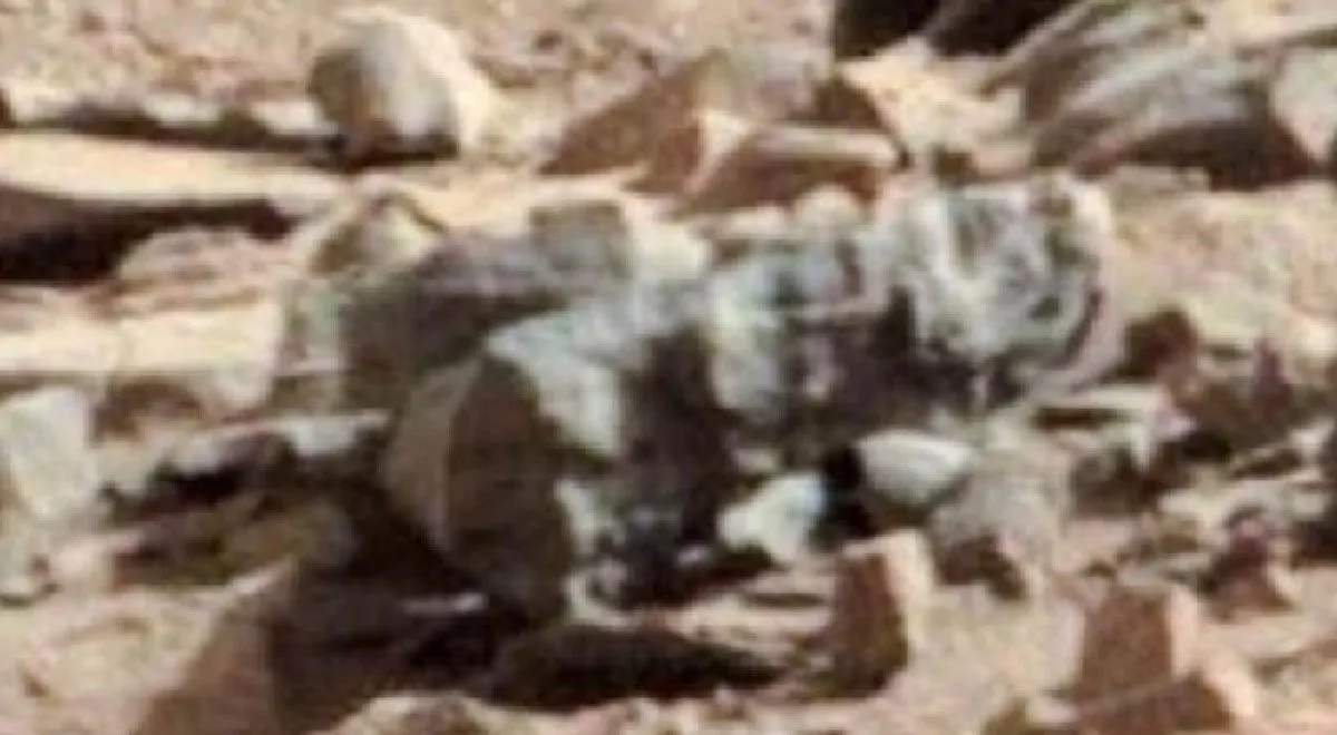 nsetti e serpenti su Marte