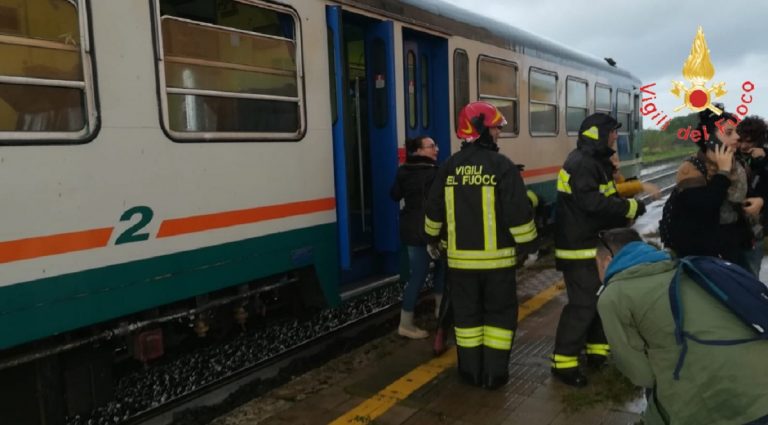 investito treno
