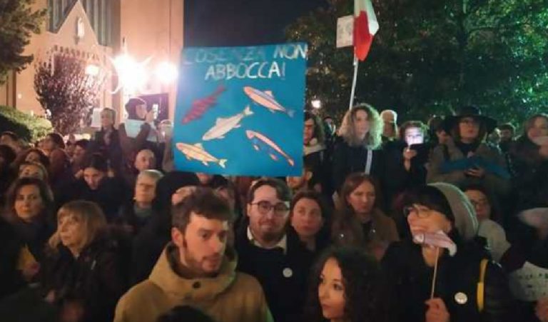 Sardine Cosenza