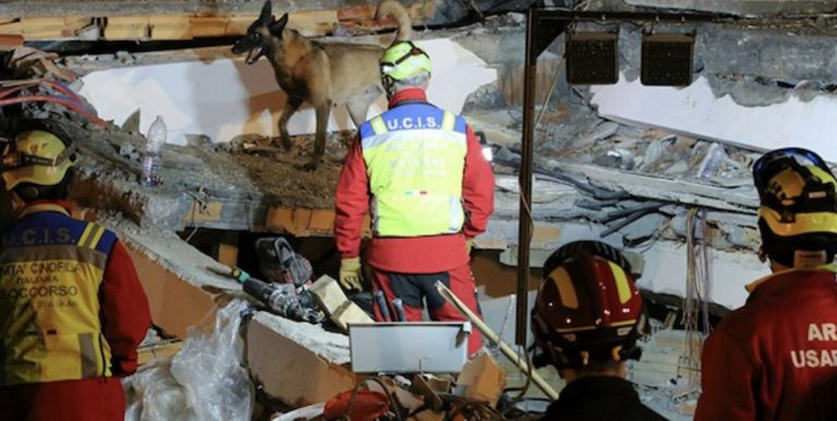 terremoto albania