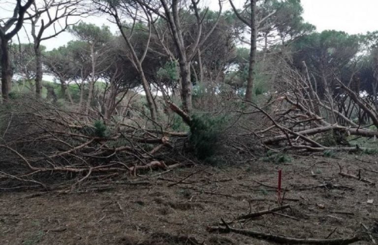 tromba d'aria orbetello