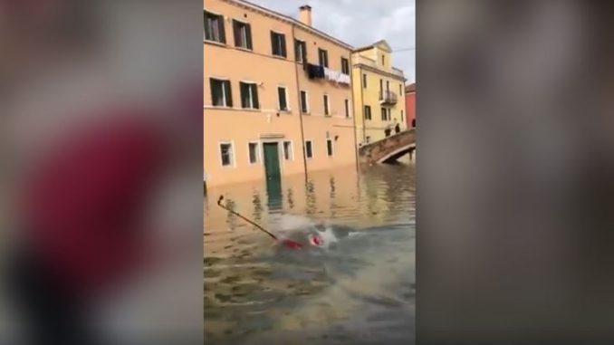 venezia video acqua alta