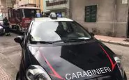 cane veglia padrone morto