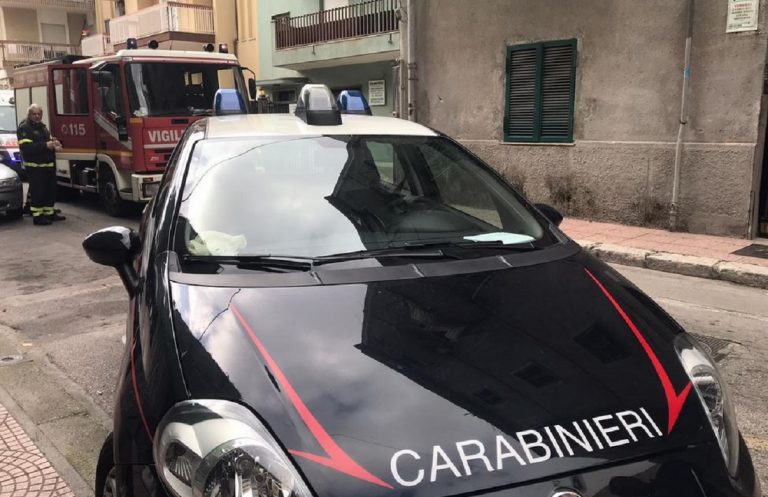 cane veglia padrone morto