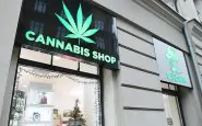 cannabis light Salvini