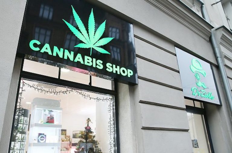 cannabis light Salvini
