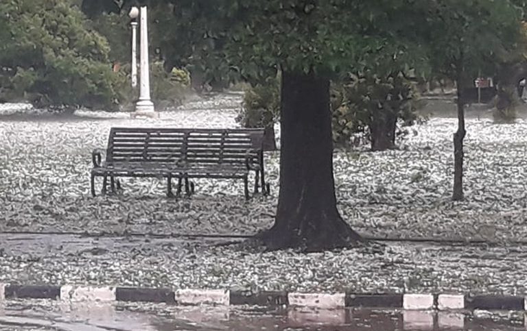 grandinata-argentina