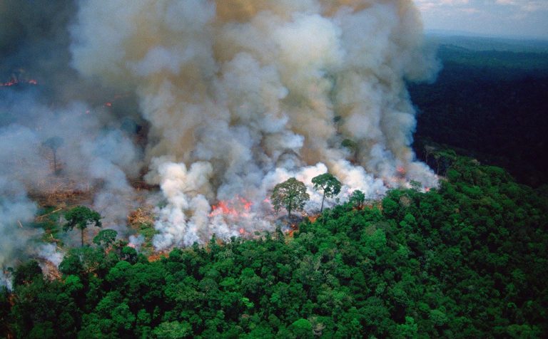 incendi-2019