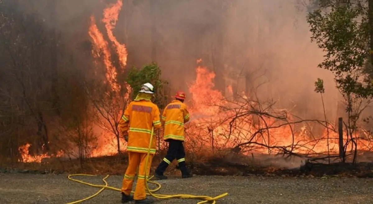 incendi australia 1