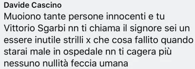 insulti Vittorio Sgarbi